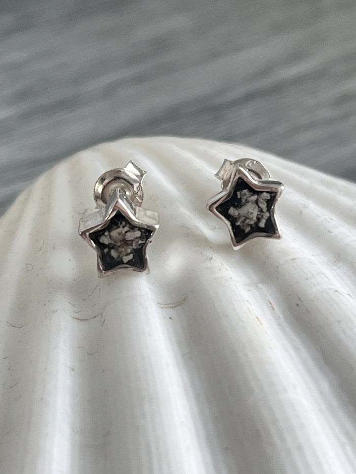 Star Memorial Earrings